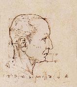 LEONARDO da Vinci Study of the proportion of the head oil on canvas